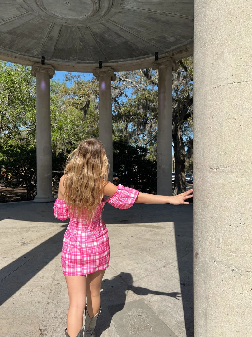 Au Darling Garden Pink Gingham Mini Dress