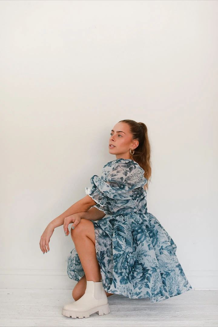 Selkie The Louie Toile Puff Dress Clothing