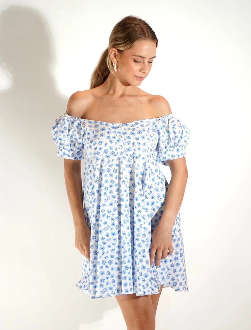 Au Darling Clothing Blue Flowers Babydoll Dress