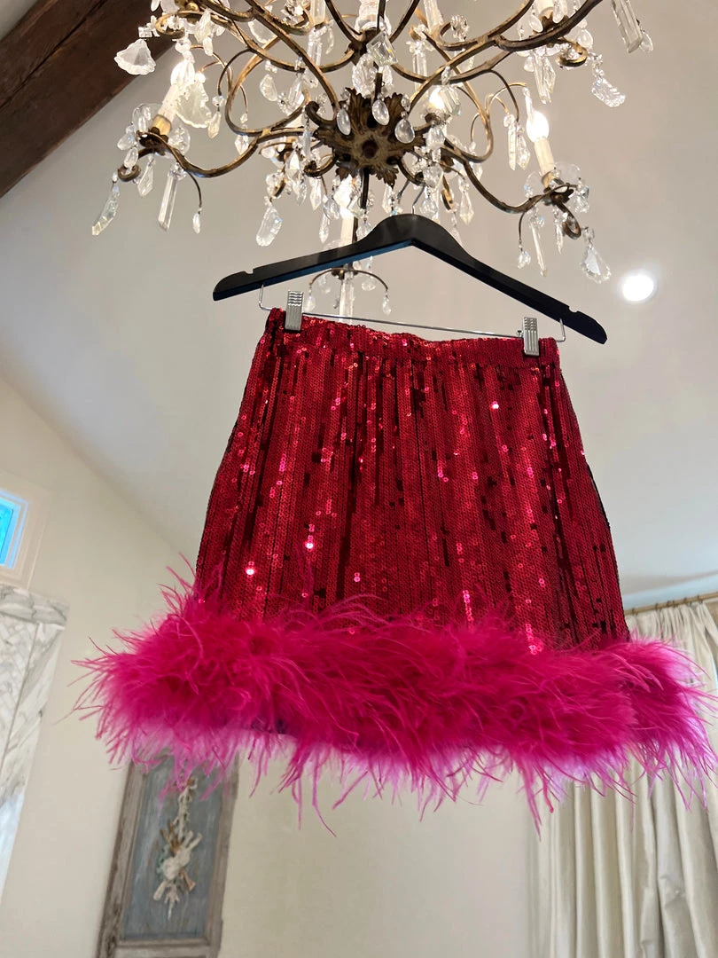 Au Darling Glamorous Mini Skirt Clothing