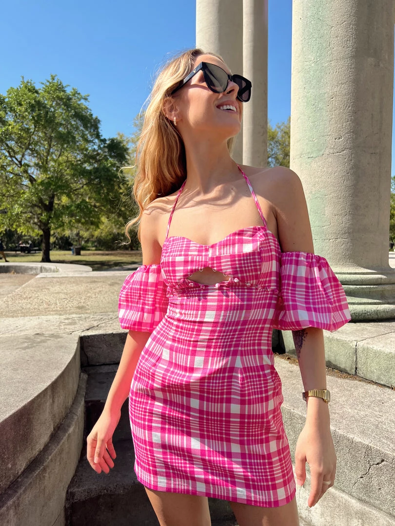 Au Darling Garden Pink Gingham Mini Dress